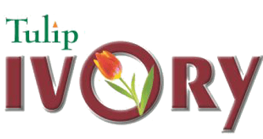 Tulip ivory logo